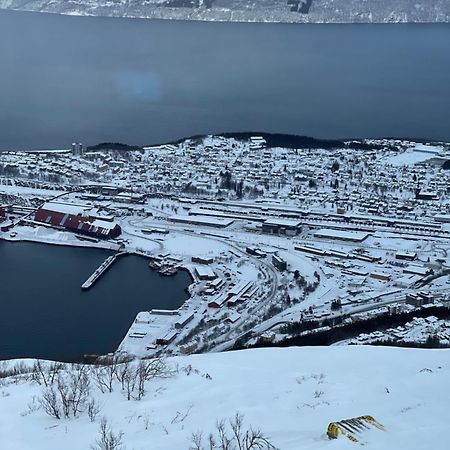 Апартаменти Narvik Sentrum Екстер'єр фото
